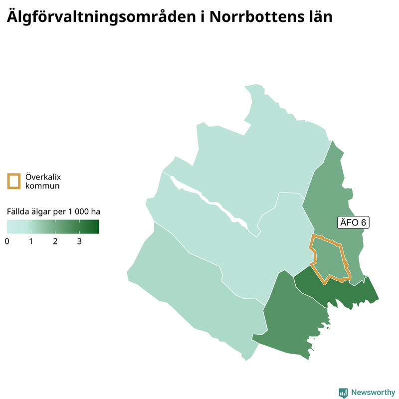 Fällda älgar per 1&nbsp;000 hektar Norrbottens län