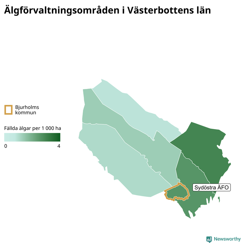 Fällda älgar per år i Västerbottens län