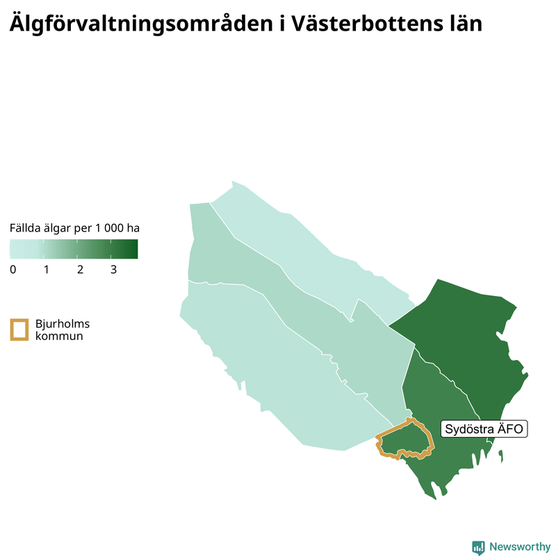 Fällda älgar per 1&nbsp;000 hektar Västerbottens län