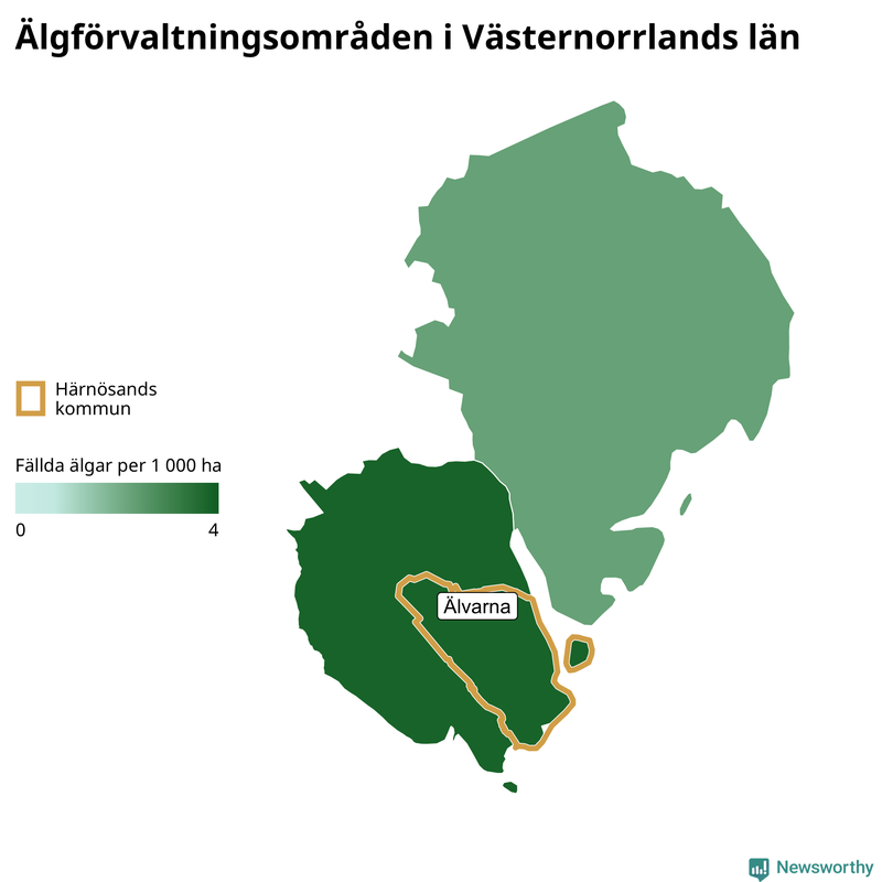 Fällda älgar per år i Västernorrlands län
