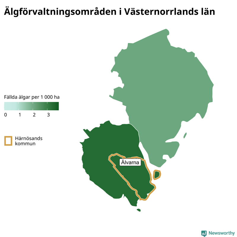 Fällda älgar per 1&nbsp;000 hektar Västernorrlands län
