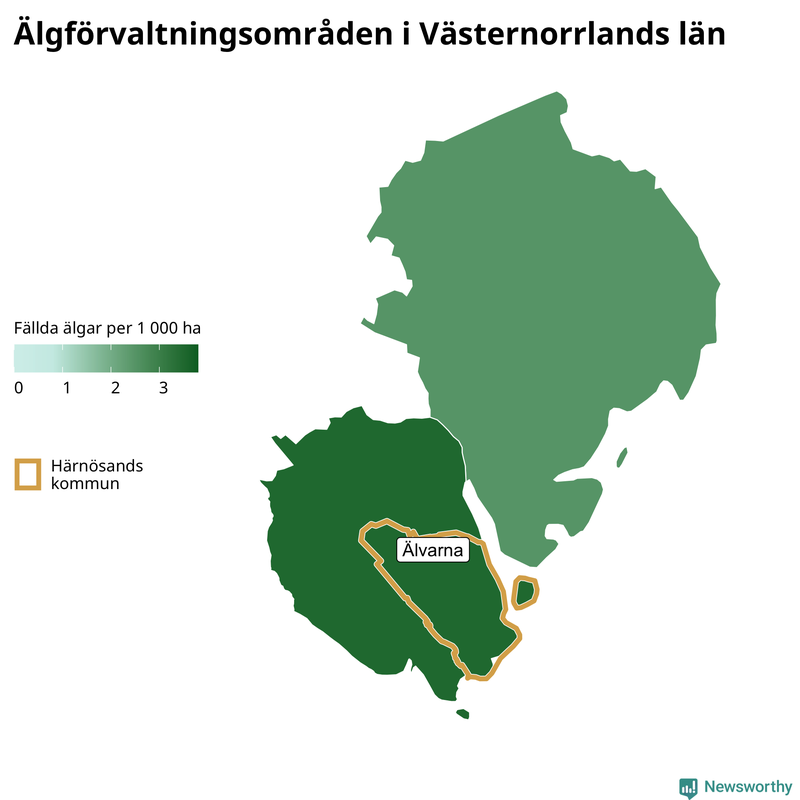 Fällda älgar per 1&nbsp;000 hektar Västernorrlands län