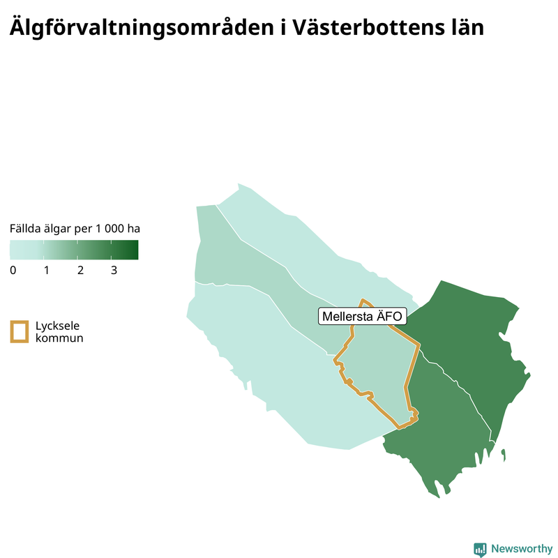 Fällda älgar per 1&nbsp;000 hektar Västerbottens län