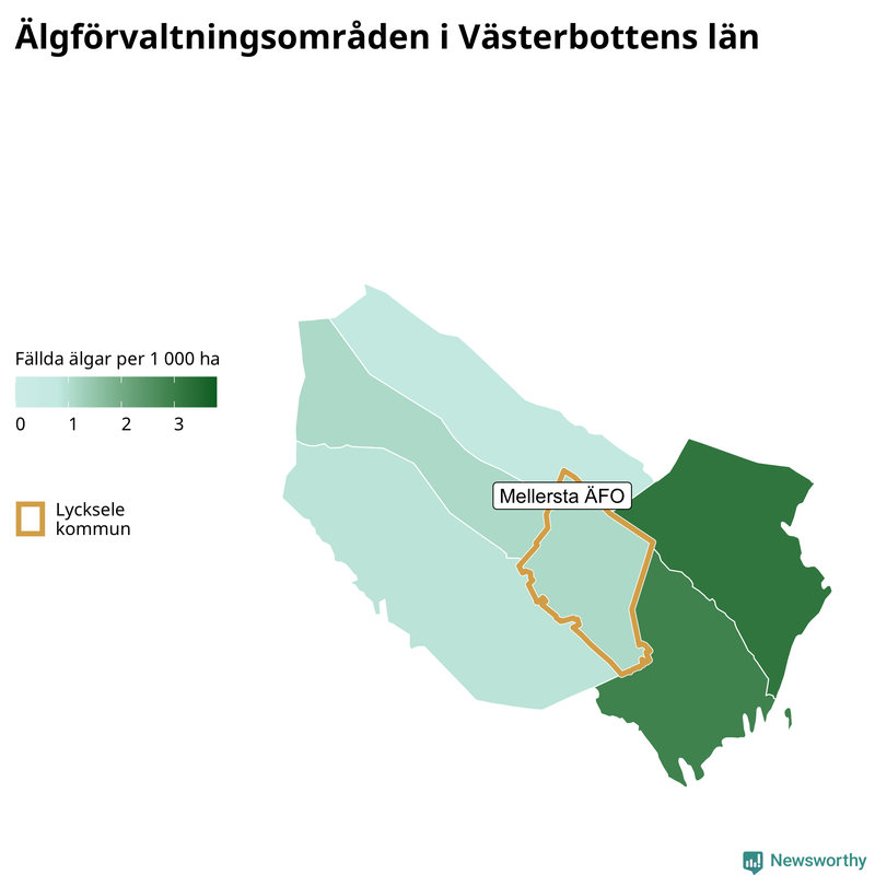 Fällda älgar per 1&nbsp;000 hektar Västerbottens län