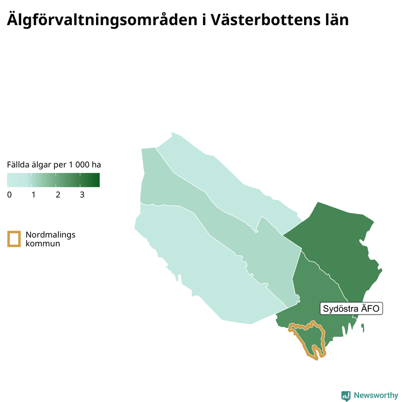 Fällda älgar per 1&nbsp;000 hektar Västerbottens län