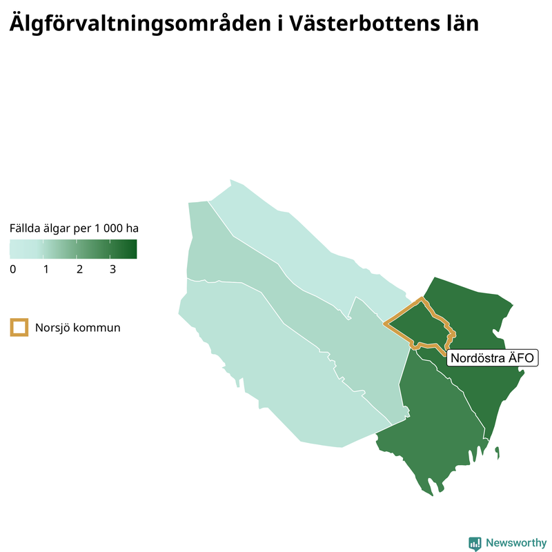 Fällda älgar per 1&nbsp;000 hektar Västerbottens län