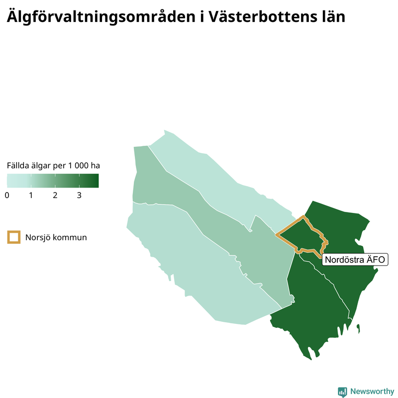 Fällda älgar per 1&nbsp;000 hektar Västerbottens län