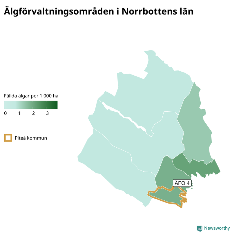 Fällda älgar per 1&nbsp;000 hektar Norrbottens län