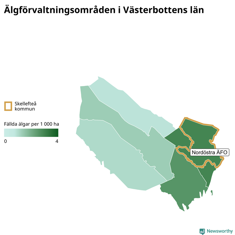 Fällda älgar per år i Västerbottens län