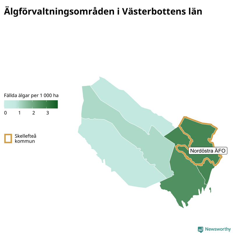 Fällda älgar per 1&nbsp;000 hektar Västerbottens län