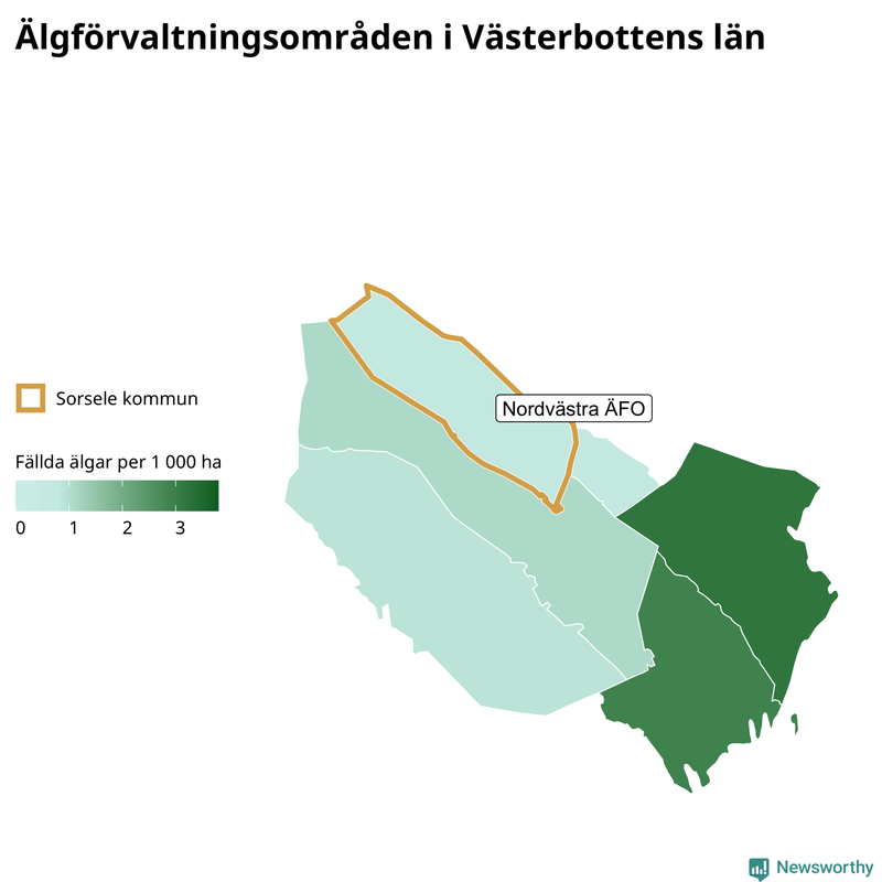 Fällda älgar per 1&nbsp;000 hektar Västerbottens län