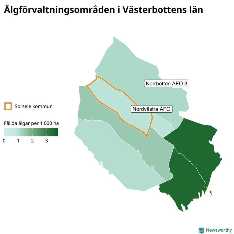 Fällda älgar per 1&nbsp;000 hektar Västerbottens län