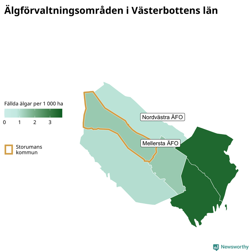 Fällda älgar per 1 000 hektar Västerbottens län
