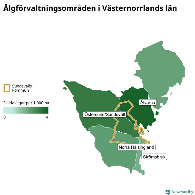 Fällda älgar per år i Västernorrlands län