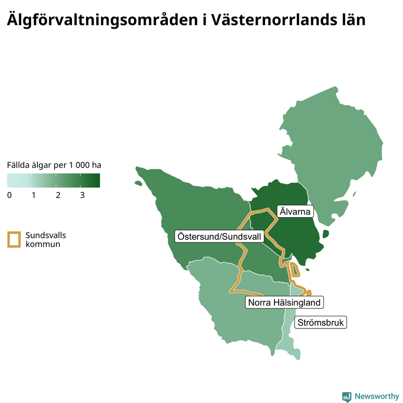 Fällda älgar per 1&nbsp;000 hektar Västernorrlands län
