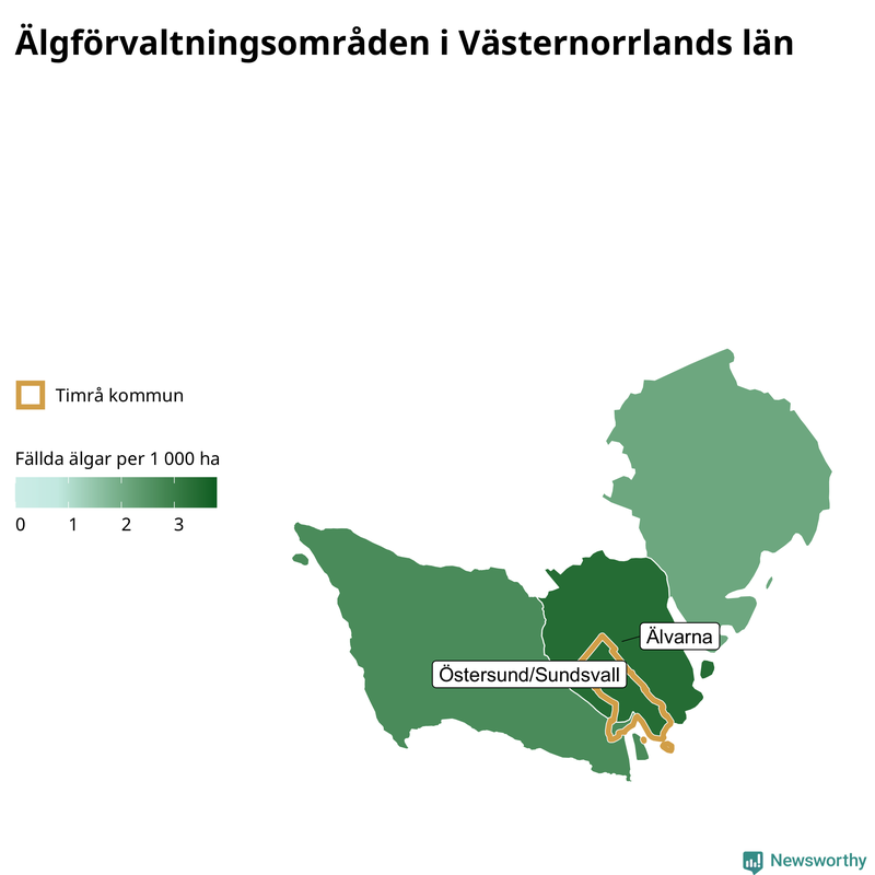 Fällda älgar per 1&nbsp;000 hektar Västernorrlands län