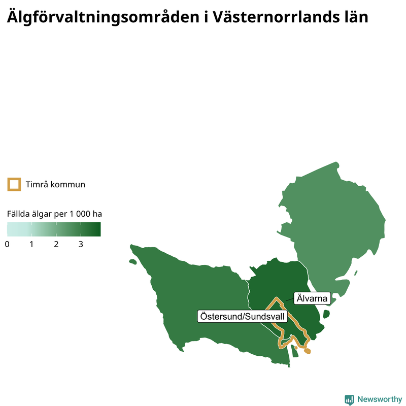 Fällda älgar per 1 000 hektar Västernorrlands län