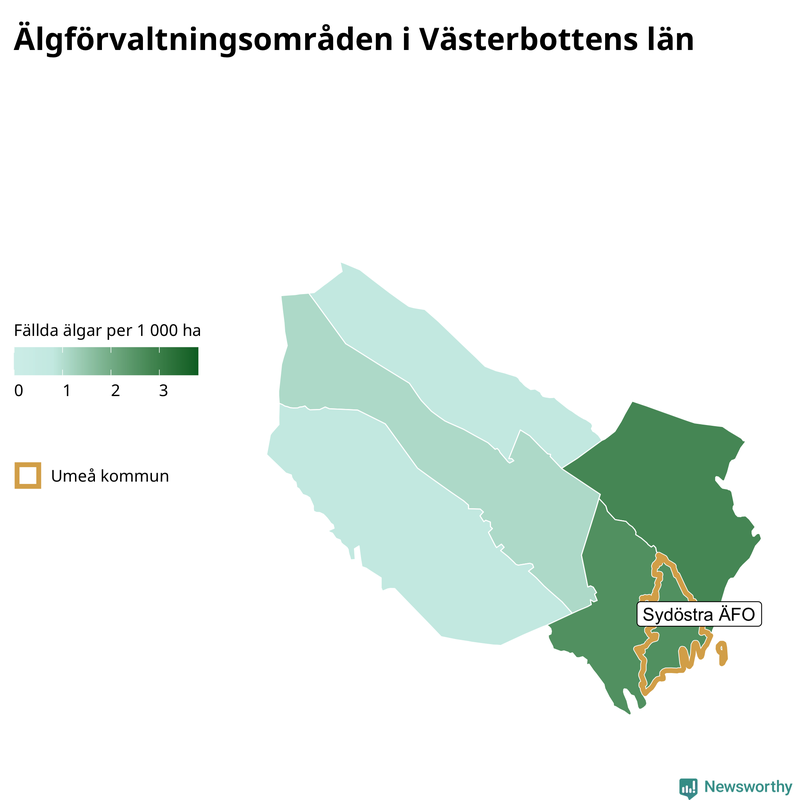 Fällda älgar per 1 000 hektar Västerbottens län