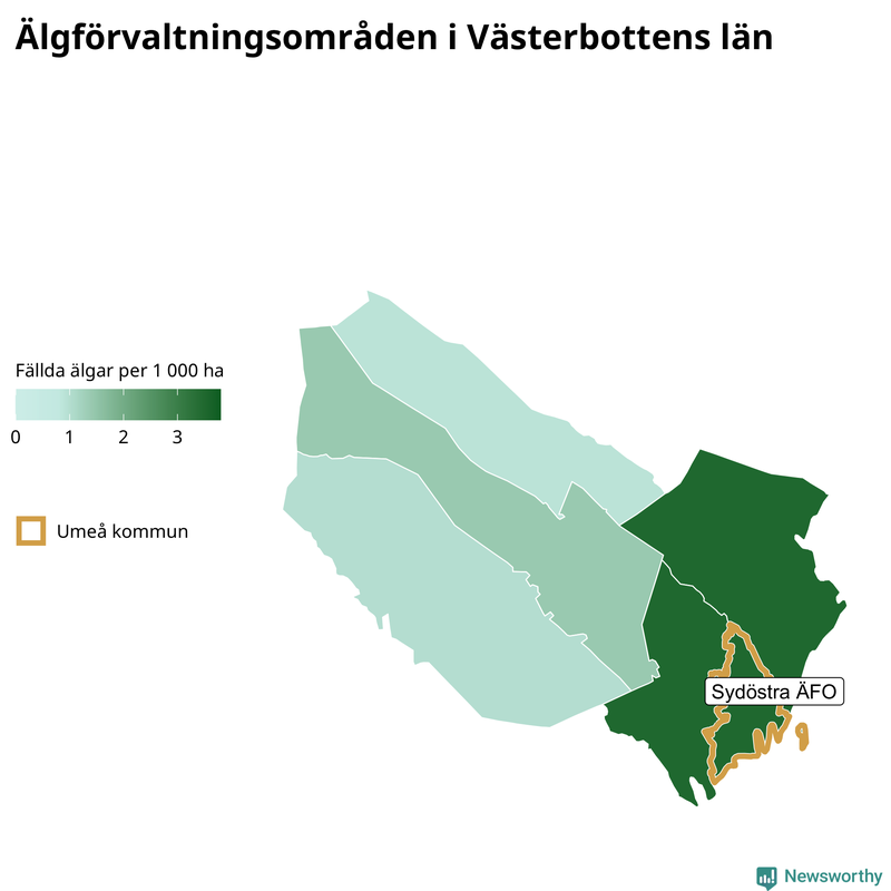 Fällda älgar per 1 000 hektar Västerbottens län