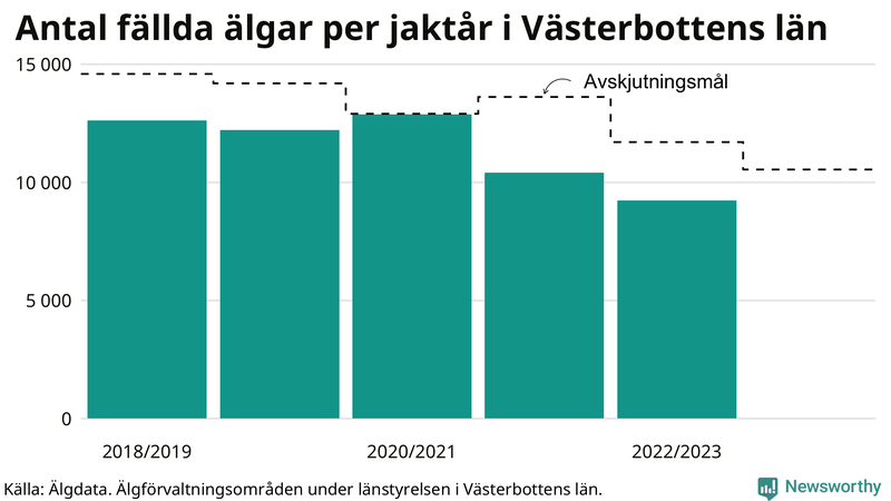 Fällda älgar per år i Västerbottens län